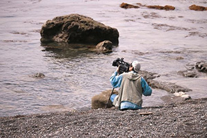 吉岡 敏朗（Yoshioka Toshiro）海を撮る